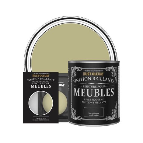 Peinture pour Meubles Brillante - Vert Sauge (1/2)
