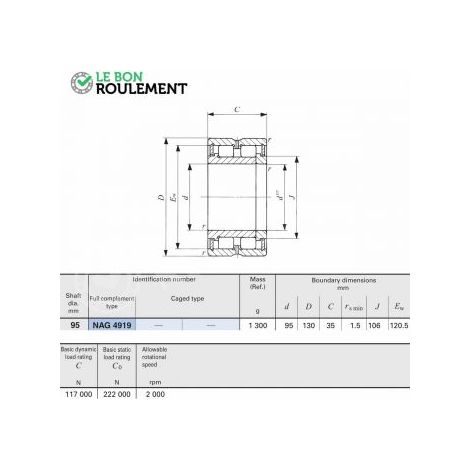 Roulement à rouleaux cylindriques NAG4919-IKO