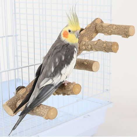 Échelle en Bois Naturel et Pont d'Escalade pour Cage à Oiseaux (Perroquets, Perruches, Conures)