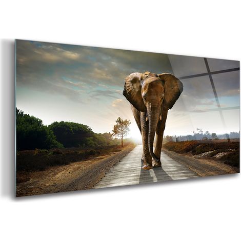 Tableau sur verre – 100 x 50 cm - Tableau mural décoratif - Verre Décorative - Coucher de Soleil Safari (1/5)