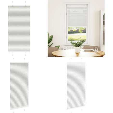 vidaXL Plissee Hellgrau 65x100 cm Stoffbreite 64,4 cm Polyester (1/5)