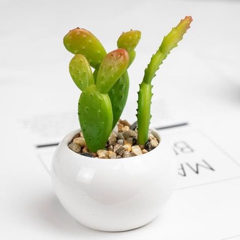 FLEUR-PLANTE ARTIFICIELLE - FLEUR SECHEE Mini plantes succulentes artificielles durables en style-912 (1/3)