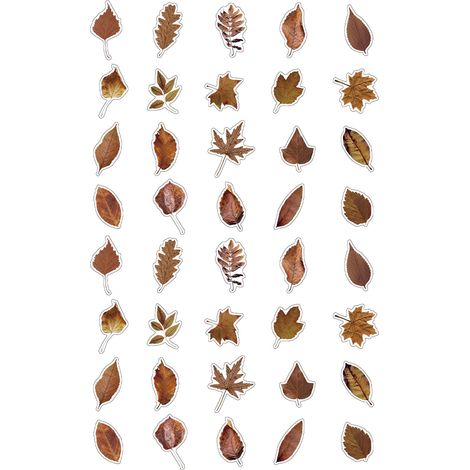 40 autocollants feuilles PET thème nature, stickers végétaux pour DIY carnet, autocollants feuilles séchées (1/5)