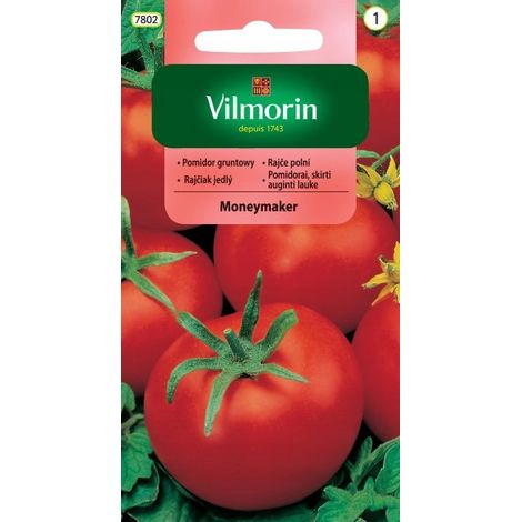 Semi di pomodoro Moneymaker da campo 0,5 g Vilmorin Garden