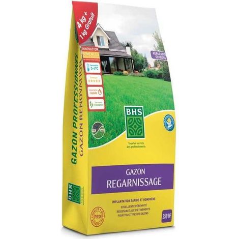 BHS Nachsaat Rasen 5kg hochwertige Samen (1/3)
