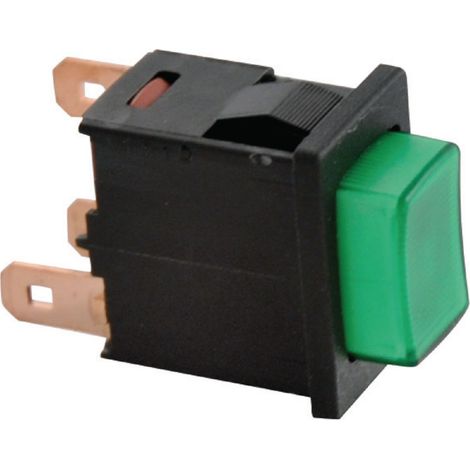 Bouton pouss. 13x19 vert l4 - CHAPPEE : V15804542