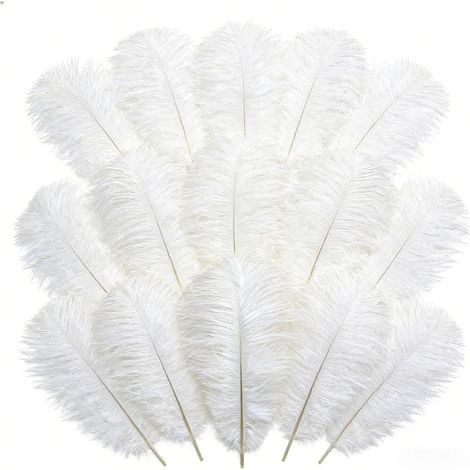 Lot de 20 grandes plumes d’autruche blanches naturelles 25-30 cm, plumes duveteuses pour mariage, centre de table, bouquet floral, décoration sapin de Noël, artisanat DIY (1/5)