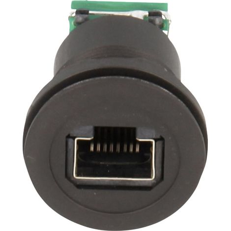 Schlegel  RJ45-Einbaubuchse RRJRJ45STBSW Buchse, Einbau   Polzahl Sensoren 8P8C  1 St.