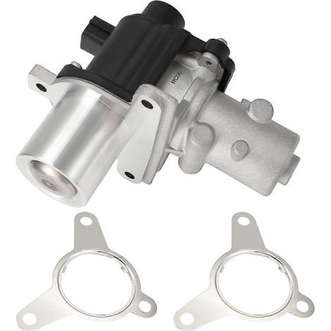 Vanne EGR pour Grand Kangoo II et III (1/5)