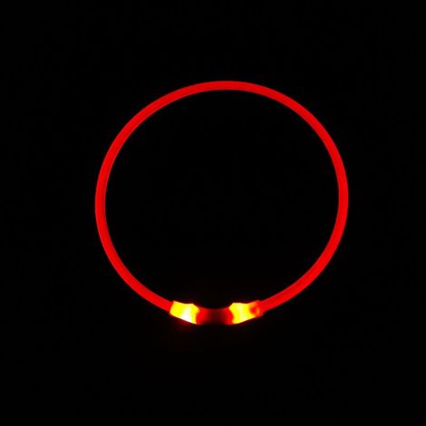Collier de chien illuminé rechargeable Collier de chien illuminé par LED Flash Tous les colliers de sécurité pour chiens Rouge