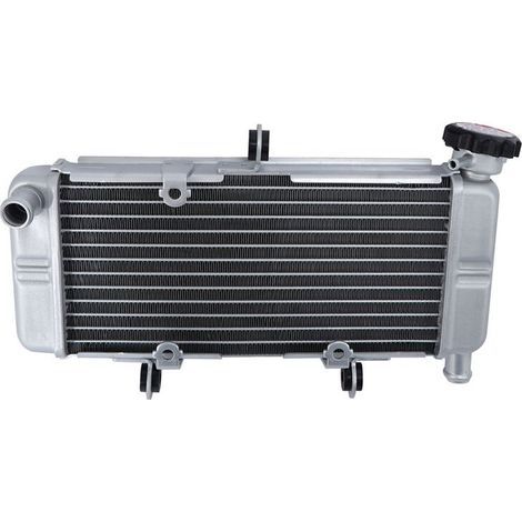 Wassertank-Kühlsystem für CBR300R und CBR250 Motorräder (2011-2020) (1/2)
