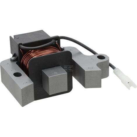 Alternatore BRIGGS & STRATTON 597491 (1/2)