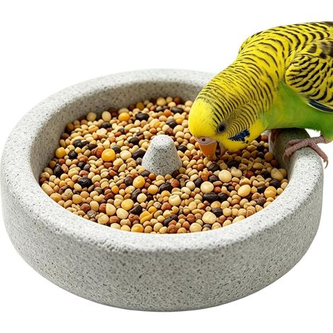 Mangeoire d'oiseaux en Cage Gamelle Bain en Pierre Ponce Naturelle Portable Jouet Mangeoire Perroquet Pour Cacatoès Cockatiel Conure Ara Perruche Inséparables Bain Intérieur (1/5)