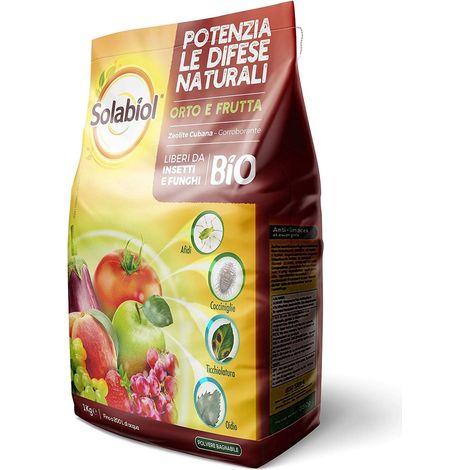 Zeolite Cubana Disponibile 250 gr - 1 Kg - size 250 gr (1/8)