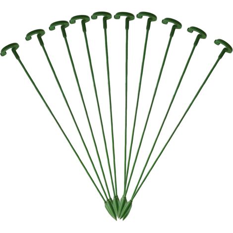 Tuteur pour orchidées succulentes, support pour tiges de fleurs, anti-chute, vert (1/5)