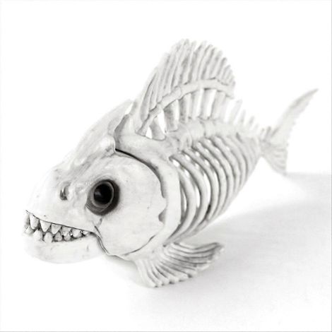 Décoration d'Halloween : Poisson squelette, modèle de crâne de carpe en plastique (1/5)