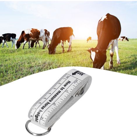 Ruban de mesure pour chevaux 2,42m - Pèse et mesure la longueur corporelle - Équipement d'élevage et ferme (1/5)