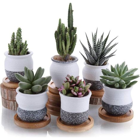 7CM Pot de Succulent en Céramique avec Plateau en Bambou Lot de 6, Cactus Plante Planteur Cache Pot Jardinière Contenant Décoration de Maison Bureau(Les Plantes ne sont Pas incluses) (1/5)