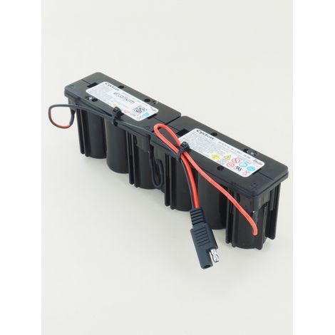 Batterie plomb étanche 12V 2.5Ah type FBL1225L pour tondeuse