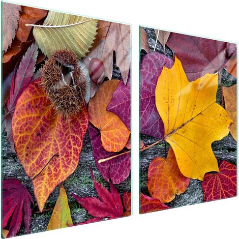 Plaque de protection en verre pour poêle 2x45x52 Feuilles (1/5)