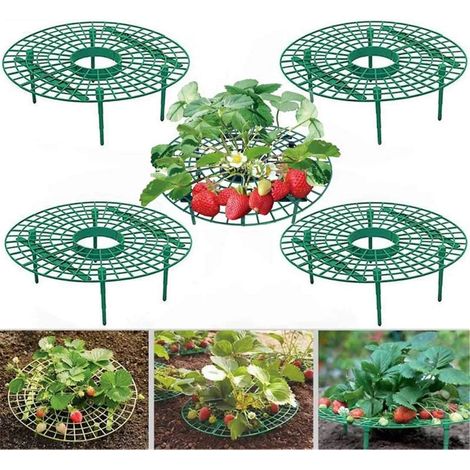 Filiyano-Lot de 10 supports pour fraisiers destinés aux treillis de plantes grimpantes (1/5)