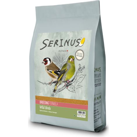 Serinus Wild Birds che riproduce 5 kg