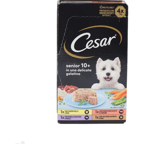 CESAR VASCHETTE IN GELATINA MULTIPACK SENIOR 10+ 4 X 150 GR (1/4)