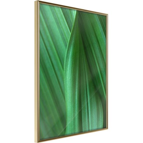 Affiche Murale Encadrée "Leaf Structure" 30 x 42 cm Or