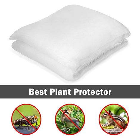 Voile anti-insectes larg 2,5 m, L 6 m (1/5)
