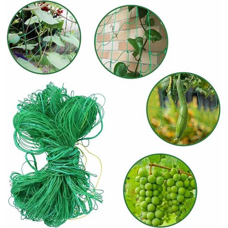 Filet à Plantes Grimpantes, Filet d'escalade pour Plantes, Filet Plantes grimpantes Filet de Treillis, Filet de Jardin Protection pour Protection des Plantes des Cultures - 2m5m (1/5)