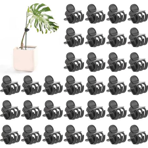 50 clip per piante, clip per orchidee per sostenere piante rampicanti in vaso. (1/3)