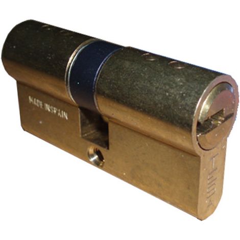 Cilindro di sicurezza TESA Europerfil T80/30x40 LT R15 con camma lunga