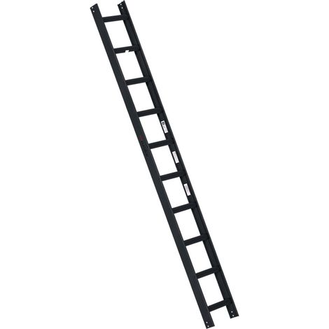 Euroline Premium Kaminkehrerleiter 10 Sprossen RAL7016 Anthrazit (1/2)
