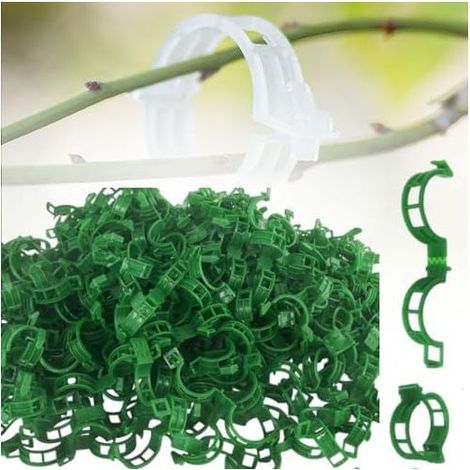 Pflanzenclips zur Befestigung von Gartenpflanzen, Pflanzenclips, sichere Kunststoff-Pflanzenclips, Tomaten-, Gemüse- und Rankenstängelclips (300, Grün) (1/5)