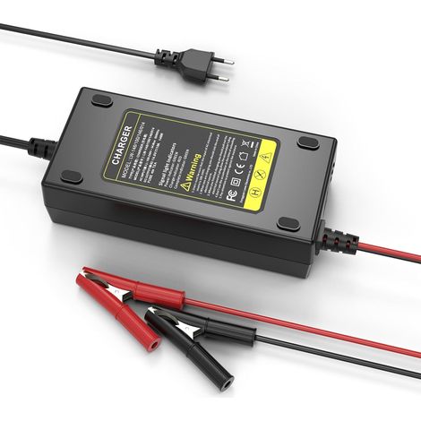 Chargeur de batterie LiFePO4 14,6 V/10 A pour voiture, chargeur de batterie pour batterie au plomb 6 V (1/5)