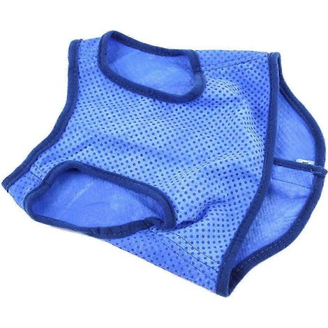 Gilet rafraîchissant pour chien, harnais léger et confortable, portable, idéal pour l'été, vêtements pour animaux de compagnie, gilet sans manches pour le sport en plein air et la plage.-L