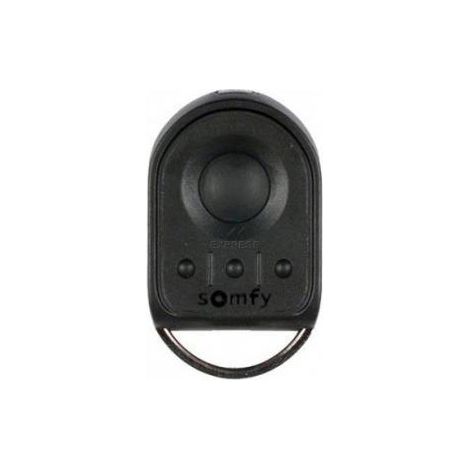 Télécommande SOMFY KEYGO T4 PRO RTS (1/2)