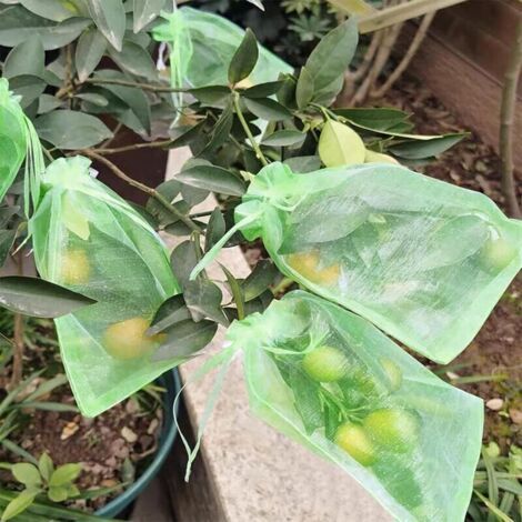 QORVA-100 Pièces Sachet Protection Raisin, Jardin Plant Fruits Protection Sac, Cordon Filet Sac Insectes, Sac De Protection Fruits, Jardin Protéger Sacs pour Potéger Les Grappes Frelons Et des Oiseaux (1/3)