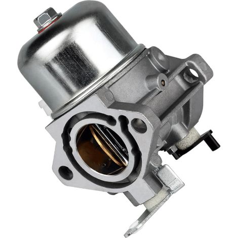 Les modèles de carburateurs 690119, 694526, 690115, 690111, 499029, 497164, 497844 et 69550 sont des pièces de rechange universelles pour divers carburateurs Briggs, compatibles avec de nombreux moteu (1/5)