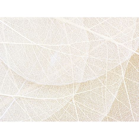 Papier peint panoramique feuilles beige et blanc – 3,6 x 2,7 m – Intissé facile à poser – Écologique certifié FSC® (1/5)