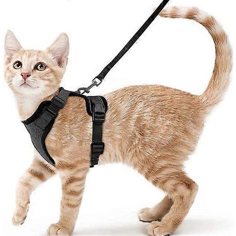 Harnais de laisse réfléchissant pour chats, respirant et réglable, sangle de poitrine pour animaux de compagnie ( ) (1/4)