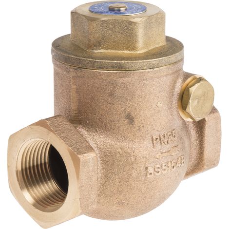 Clapet antiretour en Bronze RS PRO BSPT 3/4" ( Prix pour 1 ) (1/2)
