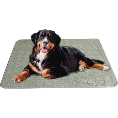 Tapis Rafraîchissant pour Chien Couverture Pliable Respirante Antidérapante Tapis Rafraîchissants Pour Chiens Relaxation Nuit Heure Du Coucher Maison Intérieur Confort Sommeil Repos (1/5)