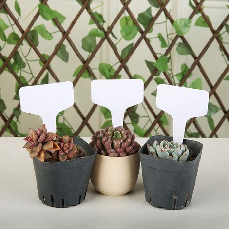 300 Pcs Etiquettes de Plantes, Blanc T-Type Jardin Marqueurs, Jardin Étiquettes, T-Forme Tags, Signes de Plante, Plante Tags pour Fleur Légumes Graine Jardin Pépinière (1/4)