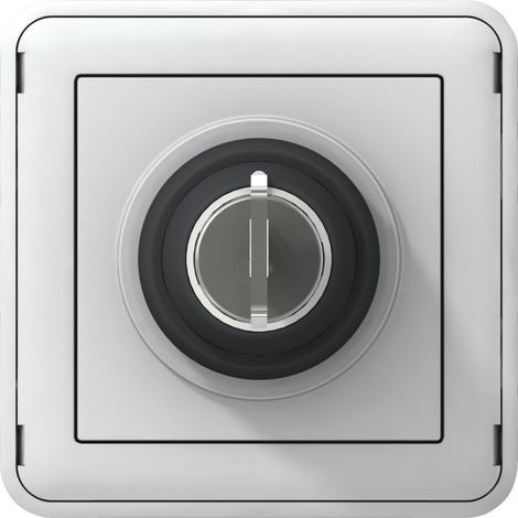 Legrand – Interrupteur à clé étanche PLEXO 3 A 250 V – Mécanisme thermoplastique – Installation en saillie ou encastré – Pour environnements extérieurs (1/4)