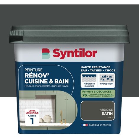 Pintura para muebles SYNTILOR Renov' color pizarra satinada para cocinas y baños, 0,75 l SYNTILOR (1/5)