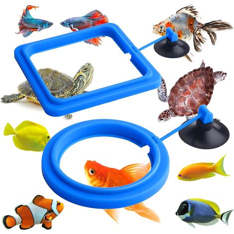 Molain Anneau d'alimentation pour Poissons, 2 pièces pour Aquarium Poisson Tortue réservoir(Bleu) (1/5)