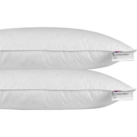 Oreiller en Plumes et duvet d'oie 40 x 80 cm - lot de 2 (1/4)