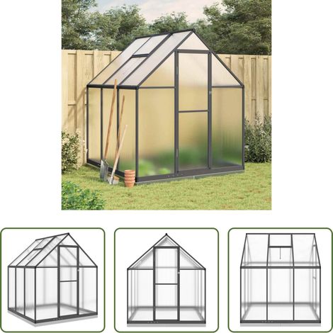 Protection des plantes - Serre avec cadre de base anthracite 169x169x202 cm aluminium (1/5)