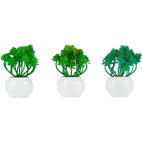 ARPIMEX Sedum Burrito in Vaso di Ceramica D 16 Cm 1 Pz